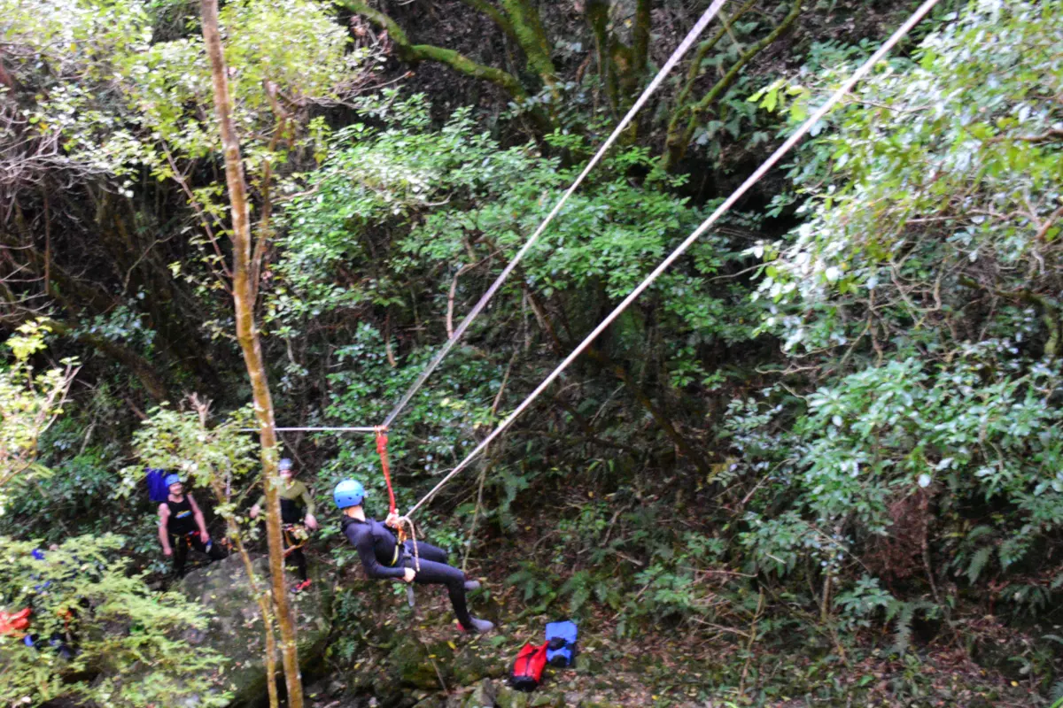 Zipling In The Akatarawa Forest